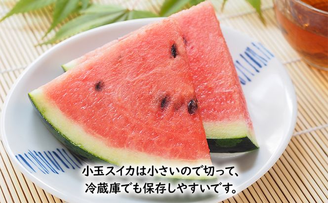 【2026年夏発送】 メロン スイカ 富良野の旨さ 赤肉メロン と 小玉すいか セット 各1玉 北海道 ふらの めろん すいか 西瓜 甘い ジューシー