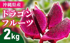 【2026年発送】熱帯果樹生産組合の完熟ドラゴンフルーツ 【レッドドラゴンフルーツ】　約2kg（3～7玉）- 赤 果肉 レッド ピタヤ スーパーフルーツ 先行受付 先行予約 人気 抗酸化作用 ベタシアニン おすすめ 国産 沖縄県 八重瀬町