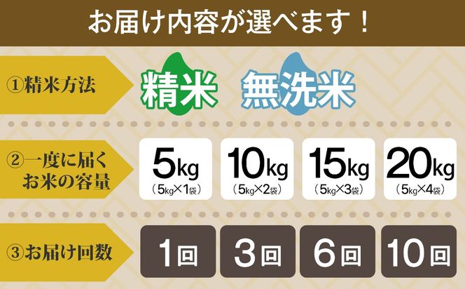 【 令和7年産 無洗米 】【定期便6回】コシヒカリ 10kg（5kg×2袋） お米マイスター  食味鑑定士 福島県産 田村市 安藤米穀店