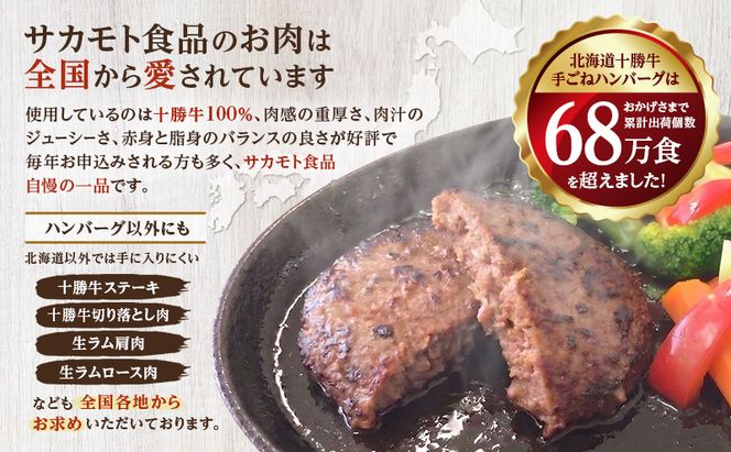 北海道十勝のお肉屋さん厳選定期便【全6回】 ハンバーグ 牛肉 ステーキ ジンギスカン 