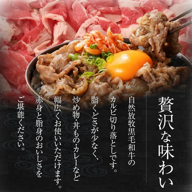 八崎牛のカルビ切り落とし 1.0㎏ N0105-YA684