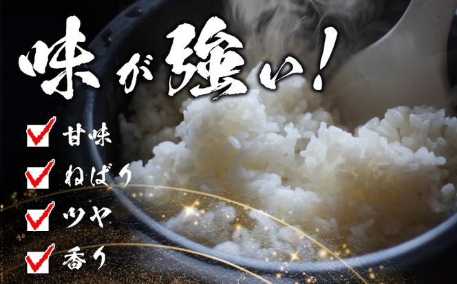 【12回定期便】コシヒカリ 白米 10kg×12か月 / 脇野コンバイン[AECP029]