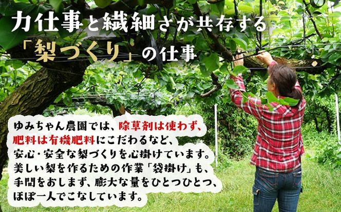 『ゆみちゃん農園』甘太梨 玉東梨 約5kg 7玉-16玉前後 《2026年8月下旬-10月上旬頃出荷》熊本県玉名郡玉東町 梨 なし 果物 フルーツ 旬の梨---sg_cyumikanta_l810_r8_15000_5kg---
