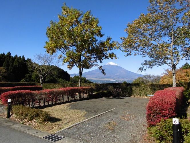 乙女森林公園第２キャンプ場宿泊券（テントサイト：5名）