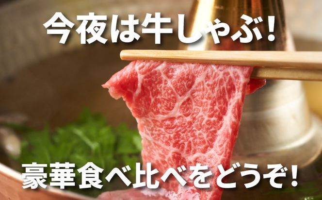 宮崎牛 肩ローススライス300ｇ ウデスライス400g  K18_0039_4