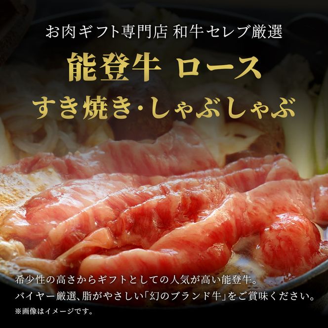 肉【和牛セレブ】能登牛 牛ロース すき焼き・しゃぶしゃぶ 500g ロース 黒毛和牛 霜降り ギフト 石川県 能美市 172111_DB013