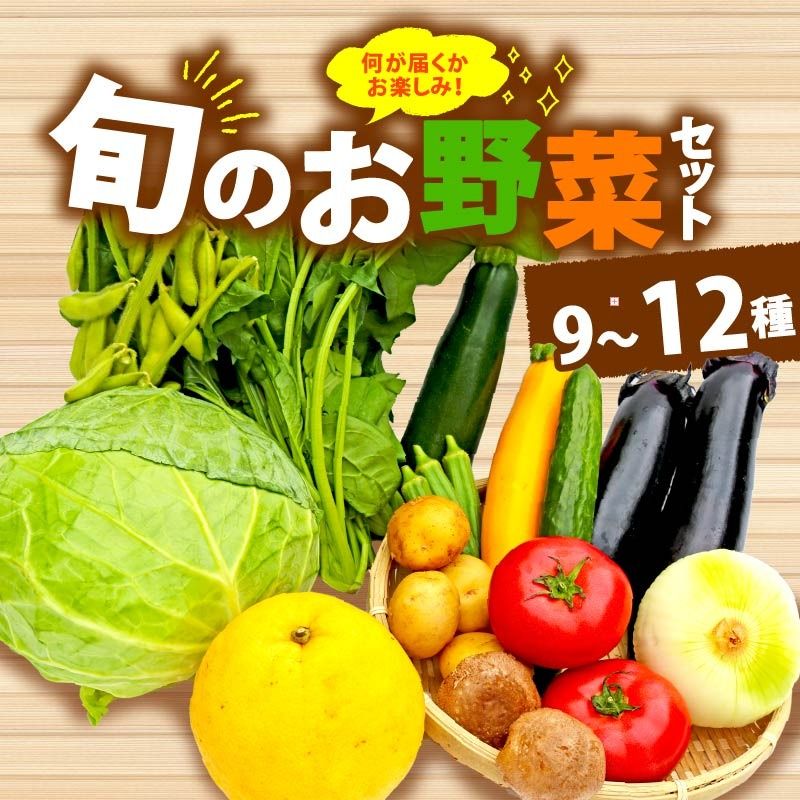 野菜 詰合せ 9〜12種 おまかせ 旬 まんさいかん ボックス 静岡県 藤枝市