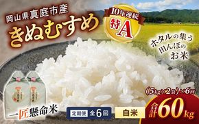 ＜定期便 全6回＞令和8年産 真庭市産きぬむすめ 白米10kg(5kg×2袋)×6回 / お米 国産 岡山県 米 人気 ブランド 2026年産 【tkns-tkb017】