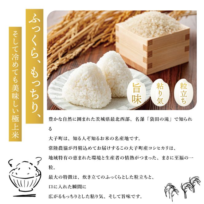 令和7年産　常陸農協の大子町産コシヒカリ5kg×2袋 計10kg｜茨城県 大子町 お米 白米 精米 こしひかり ふっくら もっちり コンテスト受賞（AH015）