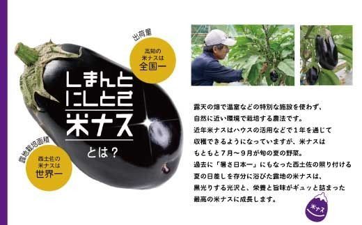 39210-002-0013．【期間限定】デカ！ピカ！ツル！しまんとにしとさ米ナス9玉（約2.7kg）【2026年5月下旬～10月下旬まで発送】