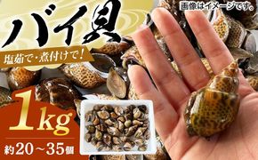 【先行予約】【2026年8月以降順次発送】豊前海産 バイ貝 1kg (20～35個前後)  《築上町》【明青丸】 バイガイ 貝 カイ[ABCB004]