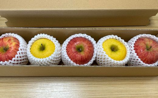 花巻産イーハトーヴりんご 食べ比べ 5個セット 【1709】