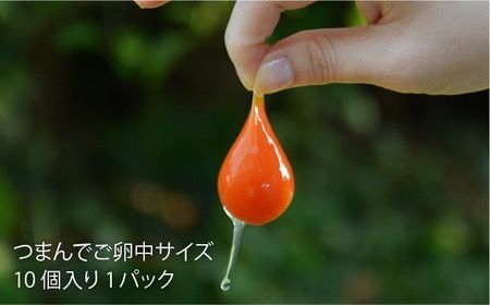 【全3回定期便】《 鶏 の 炭火焼 と ブランド 卵 のセット》緑の農園 満喫セット糸島市 / 緑の農園 [AGA033] 炭火焼き鶏肉 親鶏 酒の肴 おつまみ つまんでご卵 平飼い