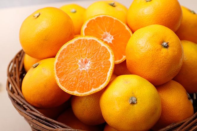 ＼光センサー選別／極 有田みかんプレミアム 約2kg【光センサー 高糖度選別品】2S～Lの小玉サイズ 有機質肥料100% | 光センサー選別 温州みかん みかん 高糖度 柑橘 果物 フルーツ 甘い◇