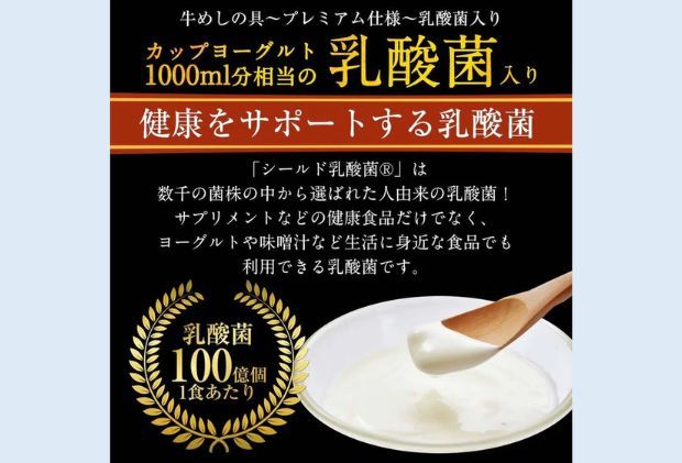 牛丼 松屋 乳酸菌入 プレミアム仕様 牛めしの具 10個 冷凍 セット 冷凍食品 食品 惣菜 n1 