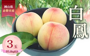 桃 2026年 数量限定 白鳳 3玉 計1.0kg以上 岡山県 赤磐市産