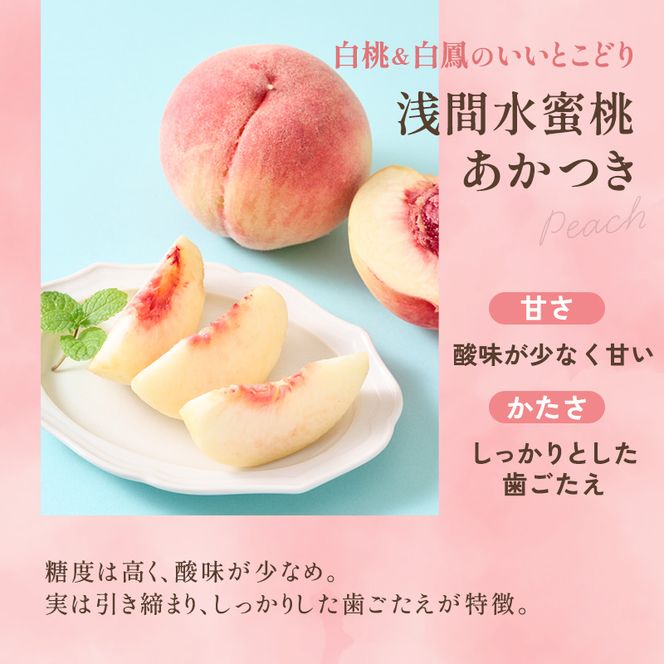 【オンライン決済限定】【2026年8月上旬～発送予定】桃 先行予約 浅間水蜜桃 あかつき 約5kg 秀品 13～22玉 贈答品 フルーツ 果物 白桃 白鳳 甘い 冷蔵
