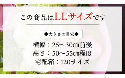 【 6ヶ月 定期便 】 癒し の フラワー セラピー ブーケ LLサイズ お花 花 はな リラックス リフレッシュ ストレス [CT118ci]