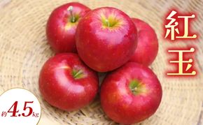 【2026年9月～発送】紅玉 約4.5kg りんご リンゴ 林檎 果物 フルーツ 長野県 長野 山ノ内町