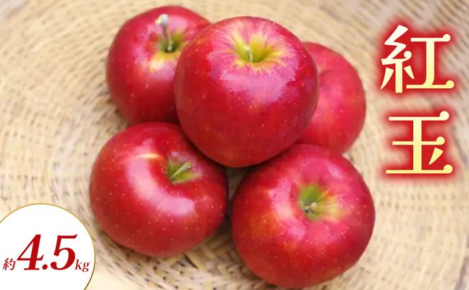 【2026年9月～発送】紅玉 約4.5kg りんご リンゴ 林檎 果物 フルーツ 長野県 長野 山ノ内町