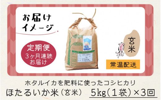 ほたるいか米（玄米５kg）×3回 計15kg【3ヶ月定期便】