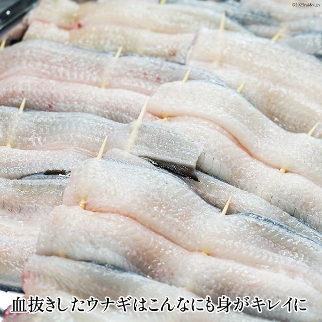 うなぎ 血抜き締め 国産うなぎ 炭火で1本1本丁寧に手焼きした「うなぎの 白焼き (大串)」4尾セット [ヤママツ村田商店 静岡県 吉田町 1375594] 鰻 ウナギ 白焼 冷凍 真空パック タレ付き
