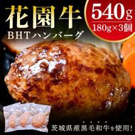 花園牛　BHTハンバーグ 180ｇ×3個【ハンバーグ 肉 お肉 贅沢 冷凍 茨城県 北茨城市】(BY002)