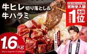 mrz0425-1 【期間限定】牛ヒレ 1kg＋牛ハラミ 600g 合計1.6kg【スピード発送 氷温熟成×特製ダレ 味付き 訳あり サイズ不揃い 小分け】