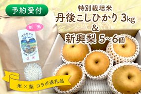 【予約受付】特別栽培米丹後こしひかり3kg＆新興梨5～6個（2026年10月上旬～発送）　KU00072