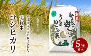 赤目滝の清流で栽培された 令和7年産 伊賀米コシヒカリ 5kg 3年連続 特A 米 こしひかり ご飯 ごはん 白米 精米 三重県 名張市