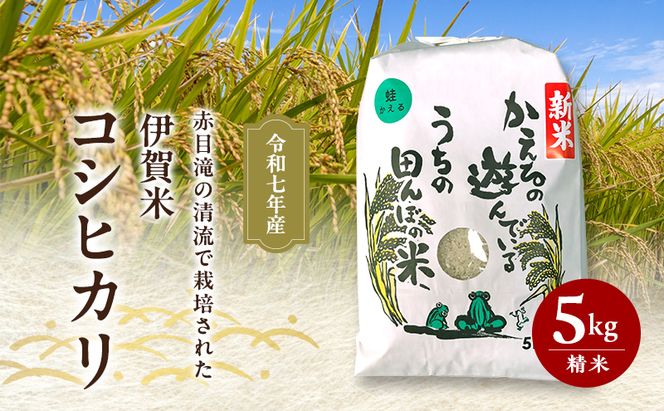 赤目滝の清流で栽培された 令和7年産 伊賀米コシヒカリ 5kg 3年連続 特A 米 こしひかり ご飯 ごはん 白米 精米 三重県 名張市