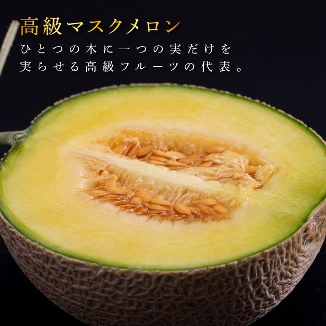 【CF-R7hbk】t063sks　《6ヶ月定期便》高知県産 高級マスクメロン（ご贈答・ギフト用）1玉入 【発送期間：4月～12月（9カ月）】【1月～3月は気候温度不安定の為出荷不可となります。】〈南国市共通返礼品〉