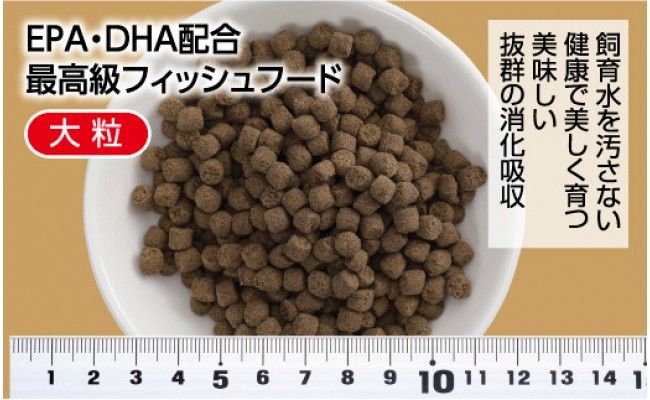 【CF-R7hbk】KGC034　錦鯉貴族 F 1kg 沈降性 ＜最高級 フィッシュフード EPA・DHA配合 大粒 魚 餌＞【餌 えさ エサ】【観賞魚 餌やり】【水槽/熱帯魚/観賞魚/飼育】【生体】【アクアリウム/あくありうむ】