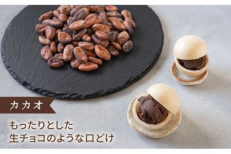 【 贈答用にも 】 糸モナカ 4種セット 糸島市 / わかまつ農園 [AHB015] もなか 最中 皮 和菓子 詰め合わせ ギフト スイーツ