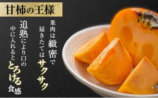 【先行予約】富有柿 贈答用 L×14個【富有柿の発祥の地 瑞穂市！！】｜富有柿 柿 かき カキ フルーツ 果物 贈答 贈答用 プレゼント ギフト 贈り物 秋 Lサイズ 人気 産地直送 岐阜 瑞穂市 送料無料  ※2026年11月～発送