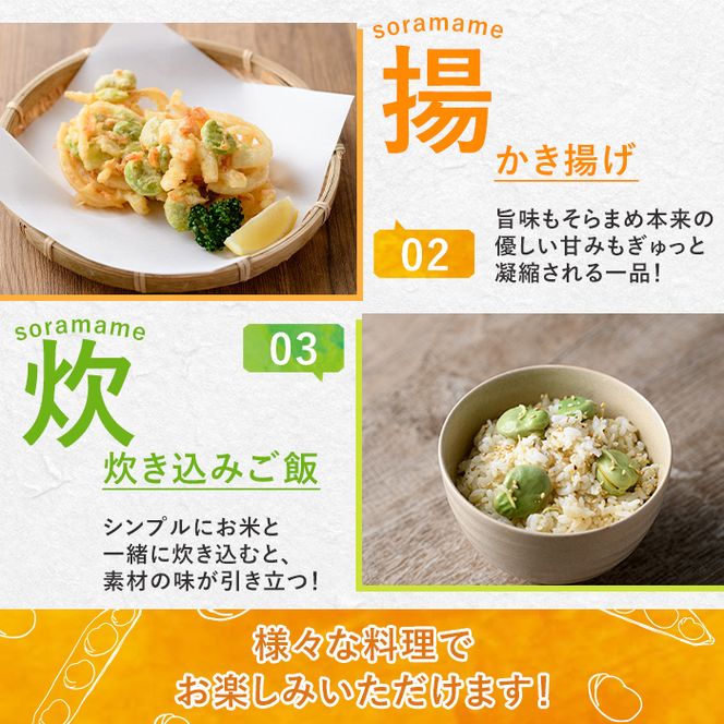 ＜先行予約受付中！2026年4月中旬以降順次発送予定＞春の味覚の鹿児島県産そらまめ(4kg) 大容量 国産 野菜 そら豆 ソラマメ セット 詰合せ 詰め合わせ 旬 ベジタブル 期間限定 AL規格 国産 鹿児島県産 阿久根市産 冷蔵【鹿児島いずみ農業協同組合】akn018-11