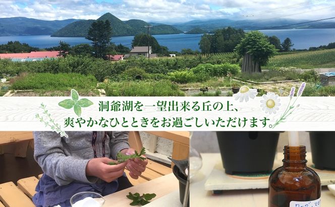 北海道 アロマ ウォーター 蒸留 体験 2枚 ハーブ フレッシュ オリジナル ハーブ畑 天然 リラックス 癒し リラクゼーション フレグランス ハーバルランチ 送料無料 洞爺湖 