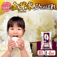 【新米予約】金芽米 定期便 無洗米 10kg (5kg×2袋)× 4ヶ月 計 40kg 令和8年 米 特別栽培米 ひとめぼれ 宮城県 加美産 BG無洗米 [ 宮城県 加美町 ] km-km-knm10-t4-r8 | km-km-knm10-t4-r8
