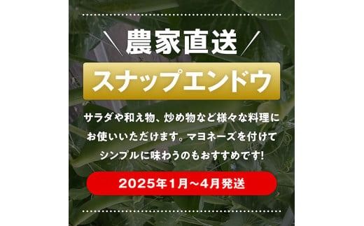 【令和7年発送】朝どれ！守部さん家のスナップエンドウ2.0kg【 野菜 宮崎県産 エンドウ豆 えんどう豆 おつまみ 2025年発送 】 [D06410]