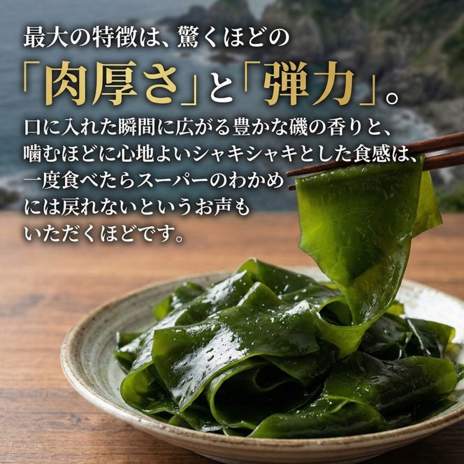 【三陸産】 塩蔵わかめ 1kg(250g×4パック) わかめ 小分け 若芽 湯通し 海藻 海産物 味噌汁 ごはん 夕飯 おかず しゃぶしゃぶ サラダ お刺身 刺し身 刺身 末崎 三陸 岩手県 国産 大船渡