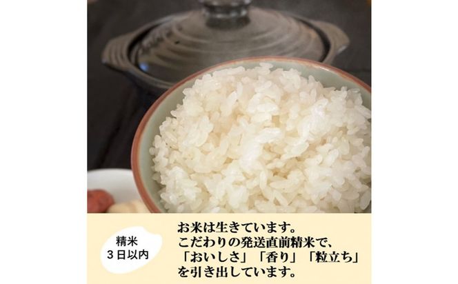 【令和8年産】【日本農業賞大賞】ゆめみづほ3kg精白米 能美市 お米 精米銘柄米 ご飯 おにぎり お弁当 和食  粘りが少ない 精米したて 一等米 172111_AE008