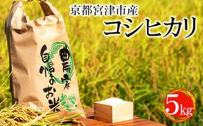令和7年産 京都宮津市産コシヒカリ 5kg お米 白米 精米 コシヒカリ 5キロ 送料無料 ギフト ごはん ご飯 おにぎり お弁当 