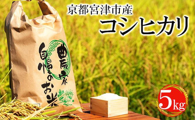 令和7年産 京都宮津市産コシヒカリ 5kg お米 白米 精米 コシヒカリ 5キロ 送料無料 ギフト ごはん ご飯 おにぎり お弁当 