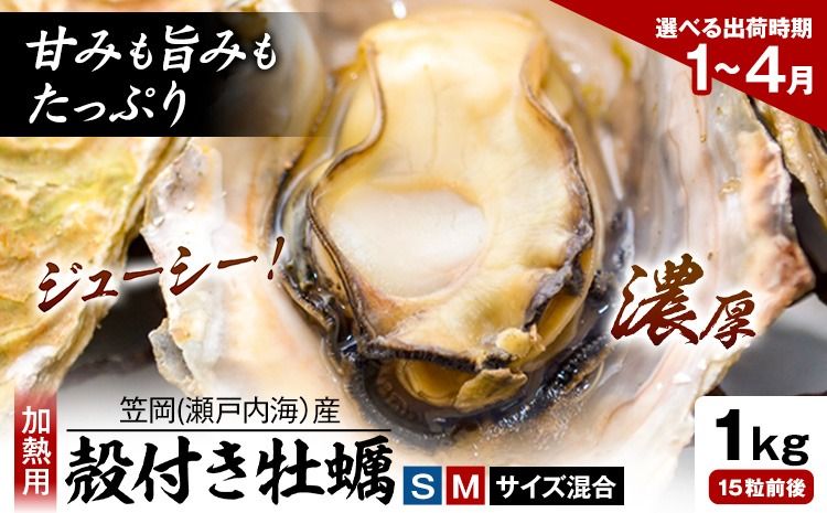 笠岡産 (瀬戸内海産) 殻付き牡蠣 (加熱用) S・Mサイズ混合 1kg 15粒前後[出荷時期が選べる]1月 2月 3月 4月 岡山県 笠岡市 かき カキ 牡蠣 生牡蠣 瀬戸内海産 殻付き---K-44-1c---