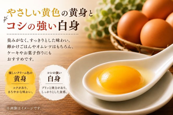 【ポロニ養鶏場】有精卵 計60個（10個×6パック）【 たまご ポロニ養鶏場 デザート ケーキ お菓子 標茶町 北海道 】 016641_AH005