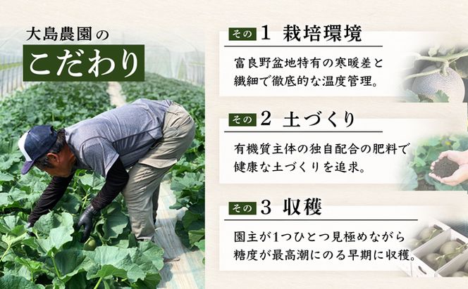 【2026年7月中旬～発送】ふらのメロン 赤肉 4～5玉 計8kg以上 北海道 富良野市 (大島農園)
