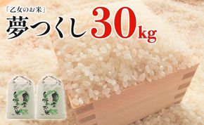 令和6年産「乙女のお米」夢つくし ３０kg