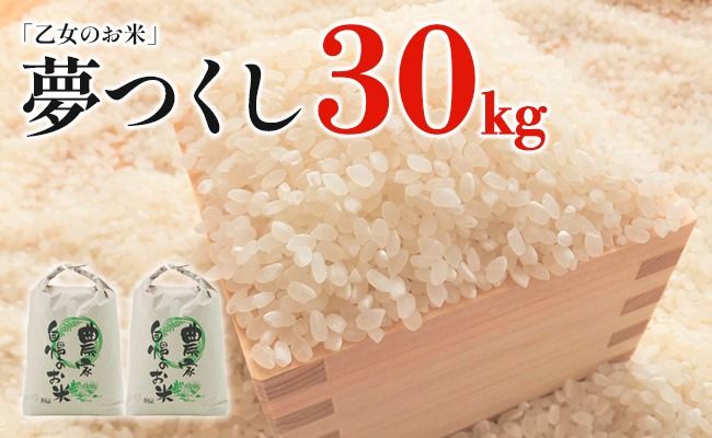 令和6年産「乙女のお米」夢つくし ３０kg