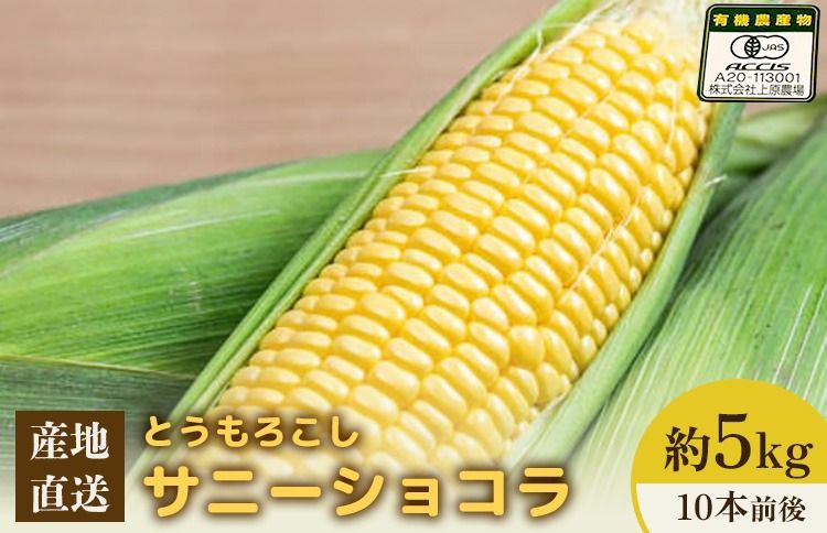 [先行予約]上原農場直送 有機栽培とうもろこし (サニーショコラ) 約5kg 約10本前後[66019]