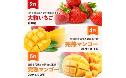 【 全6回定期便 】 プレミアム デラックス 定期便 【偶数月】 【 川南町産 いちご 完熟 マンゴー ぶどう シャイン マスカット メロン 】[D11719t6]